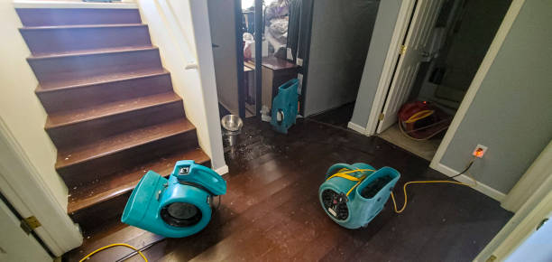 Best Sewage cleanup and water damage restoration  in Hoboken, NJ