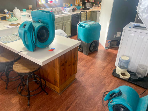 Best Flooded house restoration  in Hoboken, NJ
