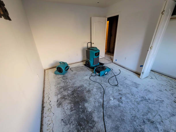Best Water damage cleanup near me  in Hoboken, NJ