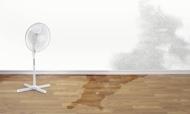 Water damage restoration insurance claims in Hoboken, NJ