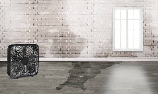 Best 24-hour water damage restoration  in Hoboken, NJ