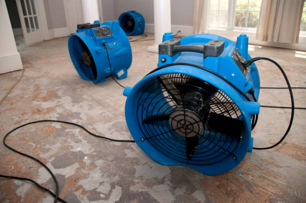 Best Water damage restoration near me  in Hoboken, NJ