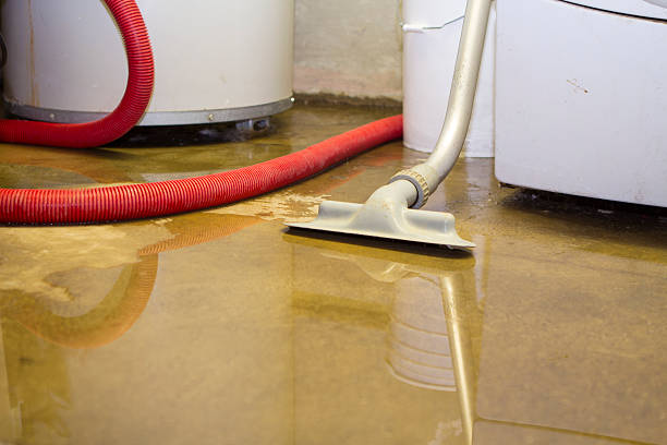 Best Commercial water damage restoration  in Hoboken, NJ