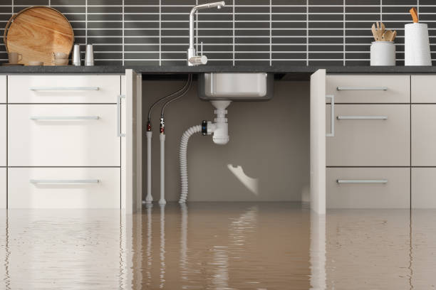 Best Sewage cleanup and water damage restoration  in Hoboken, NJ