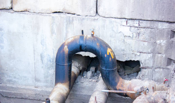 Best Mold removal after water damage  in Hoboken, NJ