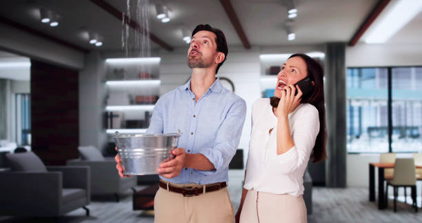 Best Basement water damage restoration  in Hoboken, NJ