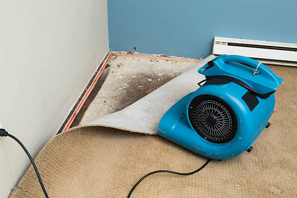 Best Flooded house restoration  in Hoboken, NJ